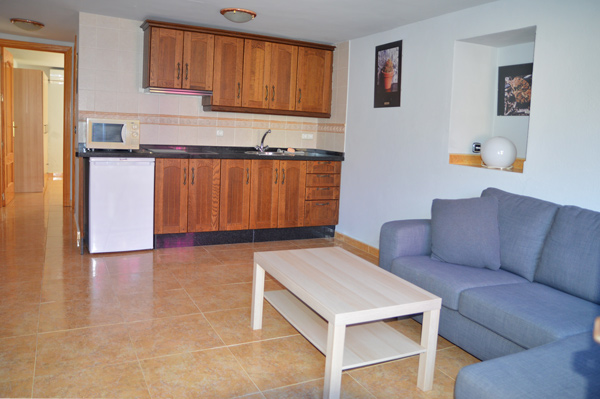 Salon con cocina