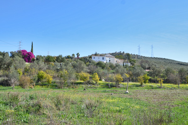 paisaje con huertos en alquiler