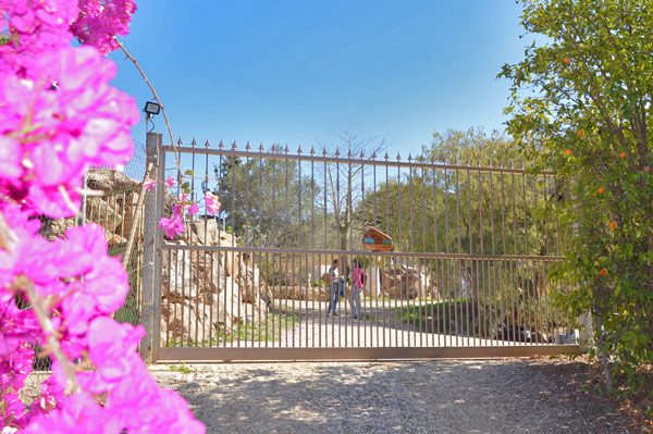 Entrada a Marumundo