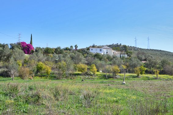 paisaje con huertos en alquiler